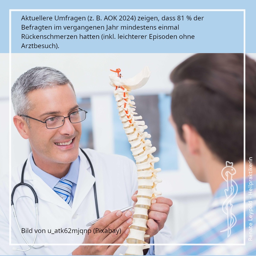 Arzt erklärt die Entstehung von Rückenschmerzen mithilfe eines Wirbelsäulenmodells
